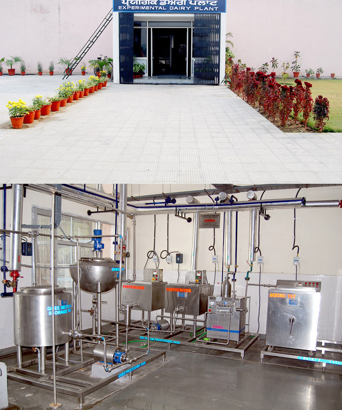 Transformation of Vet Varsity's Experimental Dairy Plant from Modest Beginnings to Remarkable Growth